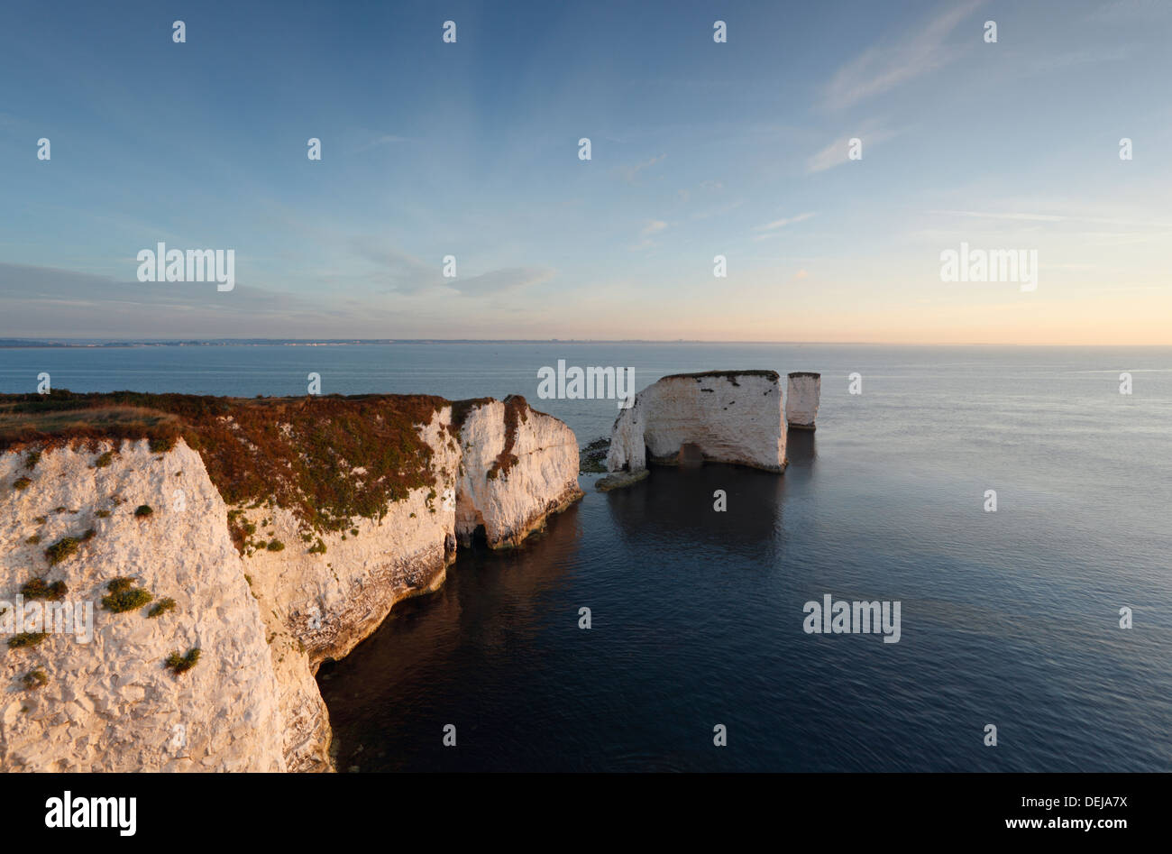 Vecchio Harry rocce al punto Handfast, Studland. Jurassic Coast Sito Patrimonio Mondiale. Il Dorset. In Inghilterra. Regno Unito. Foto Stock
