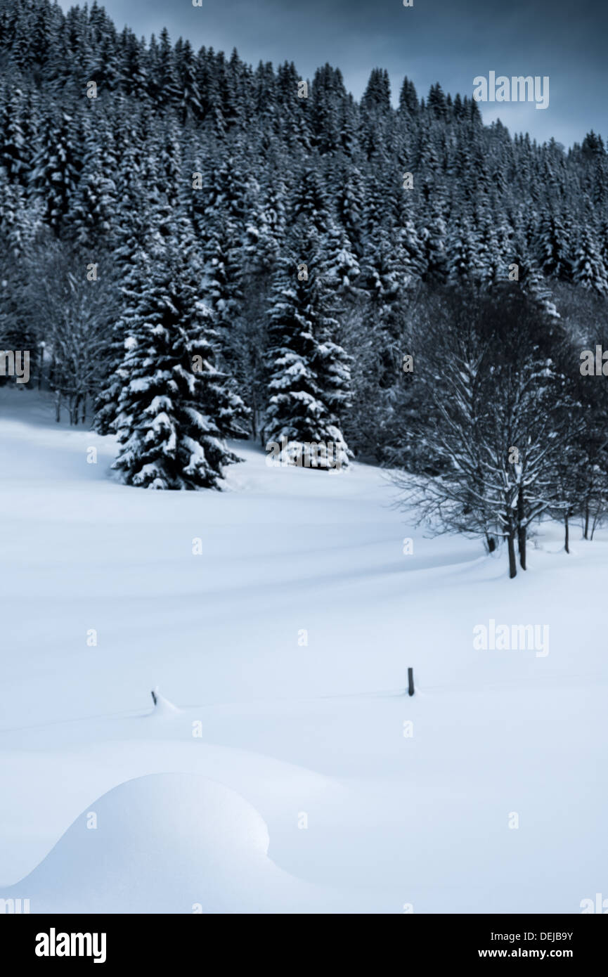 Scena invernale con coperta di neve Alberi e colline con vapore sentiero da aereo nel cielo blu Foto Stock