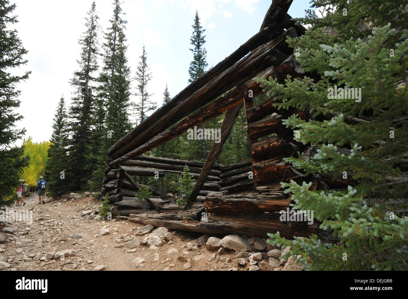 Una miniera abbandonata cabina sulla jeep sentiero fino al lago Grizzly, Chaffee County, Colorado. Foto Stock