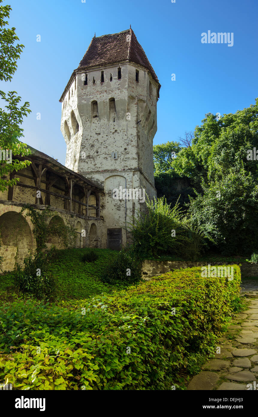 Lo stagno spalmatrici Torre Sighisoara Citadel si trova nel cuore della Transilvania,Romania Foto Stock
