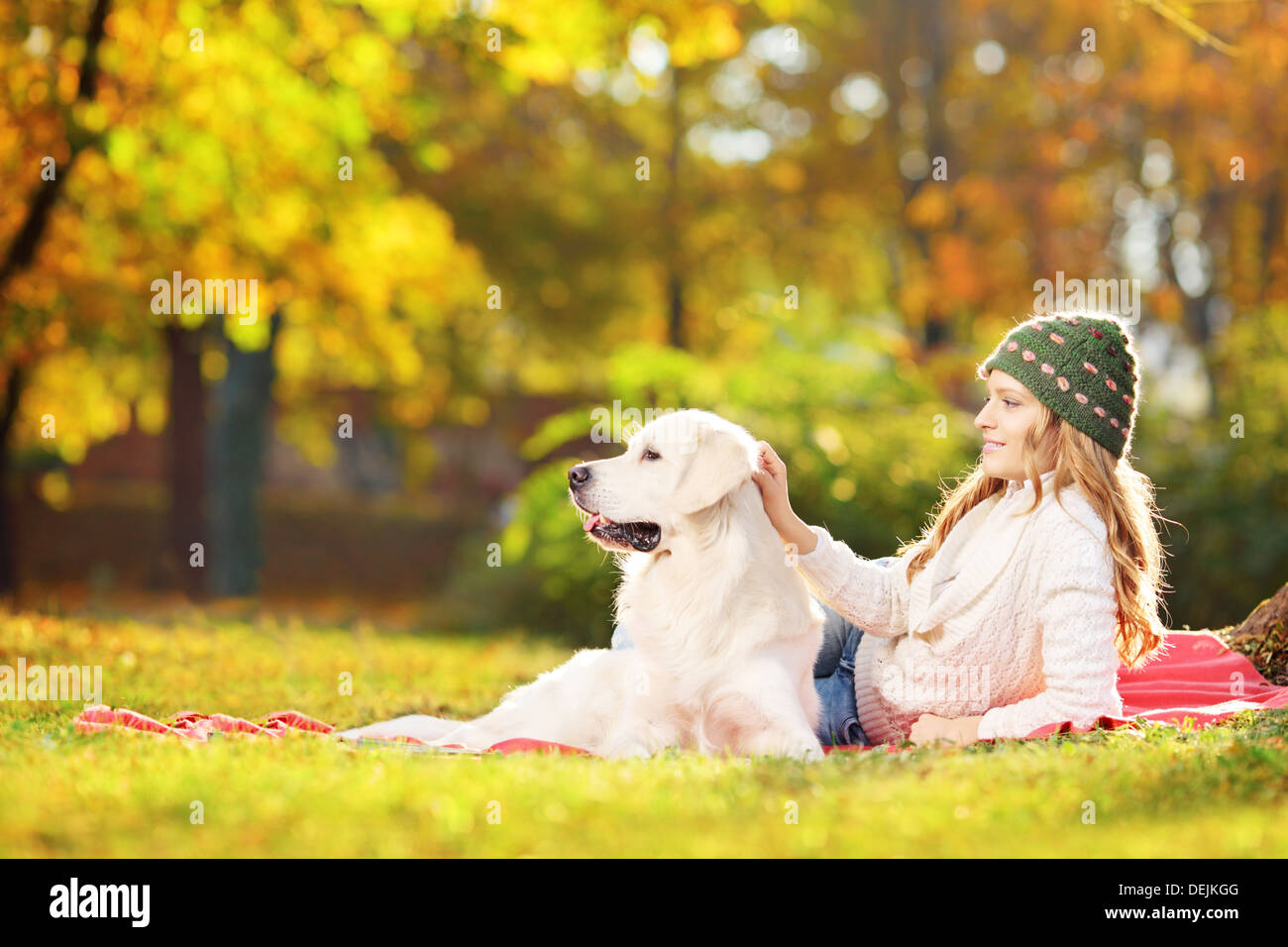 Femmina sdraiati su un prato verde con il suo cane in un parco Foto Stock