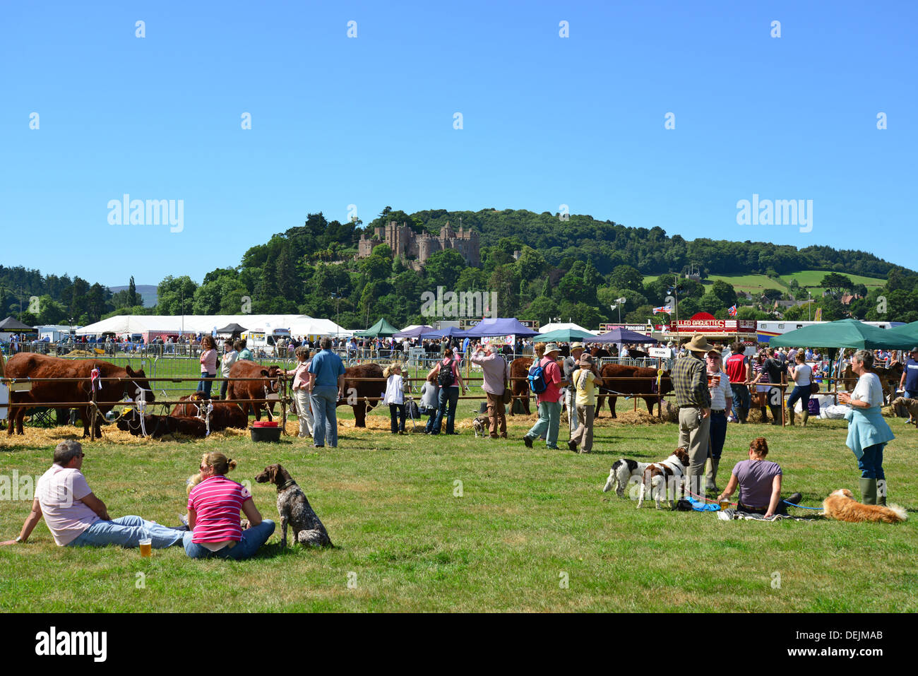 Il Dunster spettacolo agricolo, il Castello di Dunster Prati, Dunster, Somerset, Inghilterra, Regno Unito Foto Stock