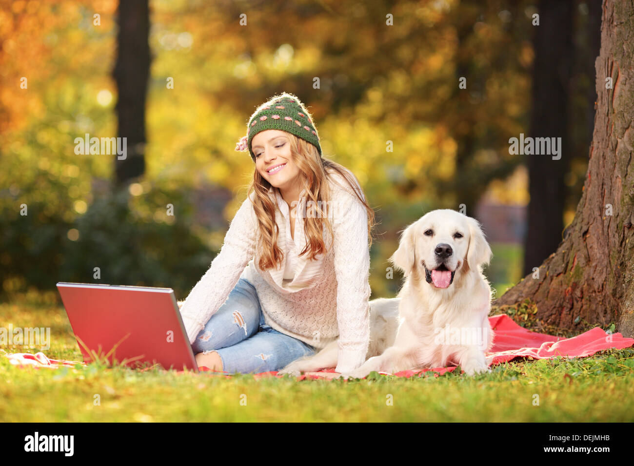 Giovani donne in un parco con il suo cane al lavoro su un notebook Foto Stock
