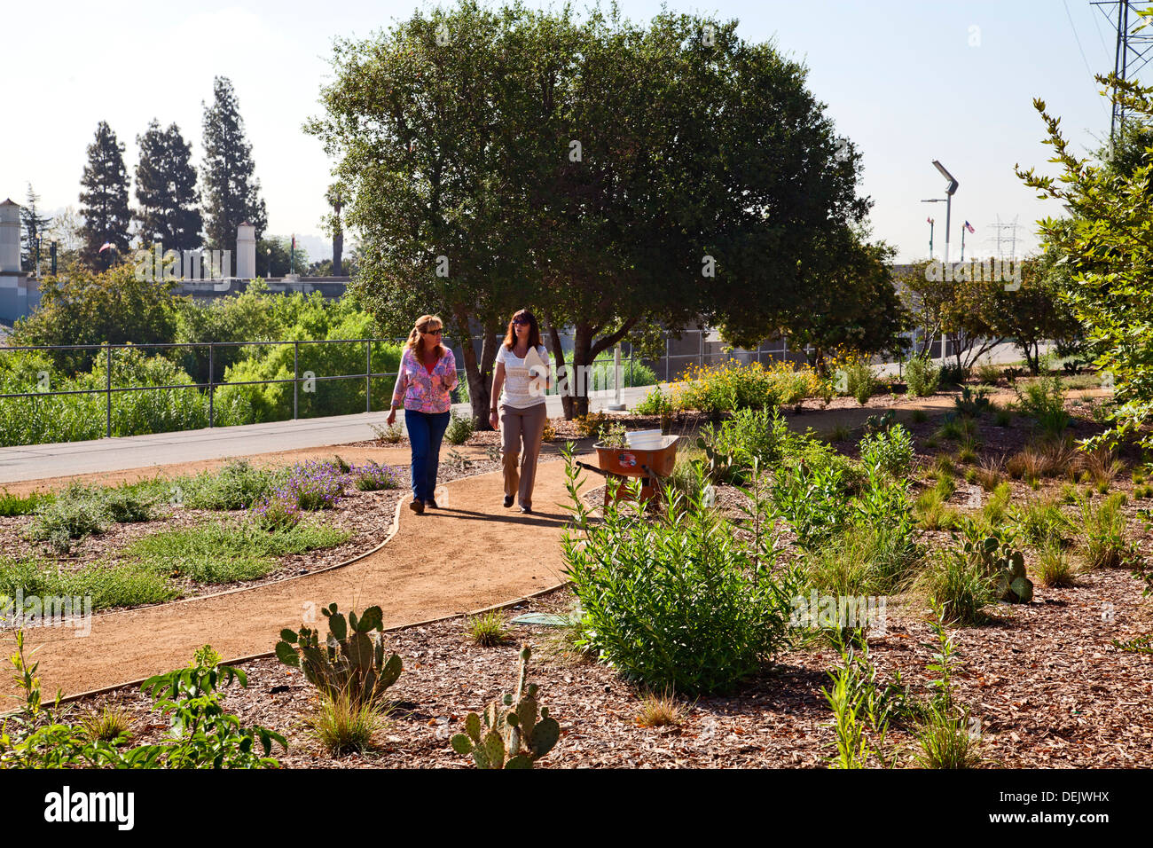 Apertura di Sunnynook River Park, Glendale si restringe, il fiume di Los Angeles Foto Stock