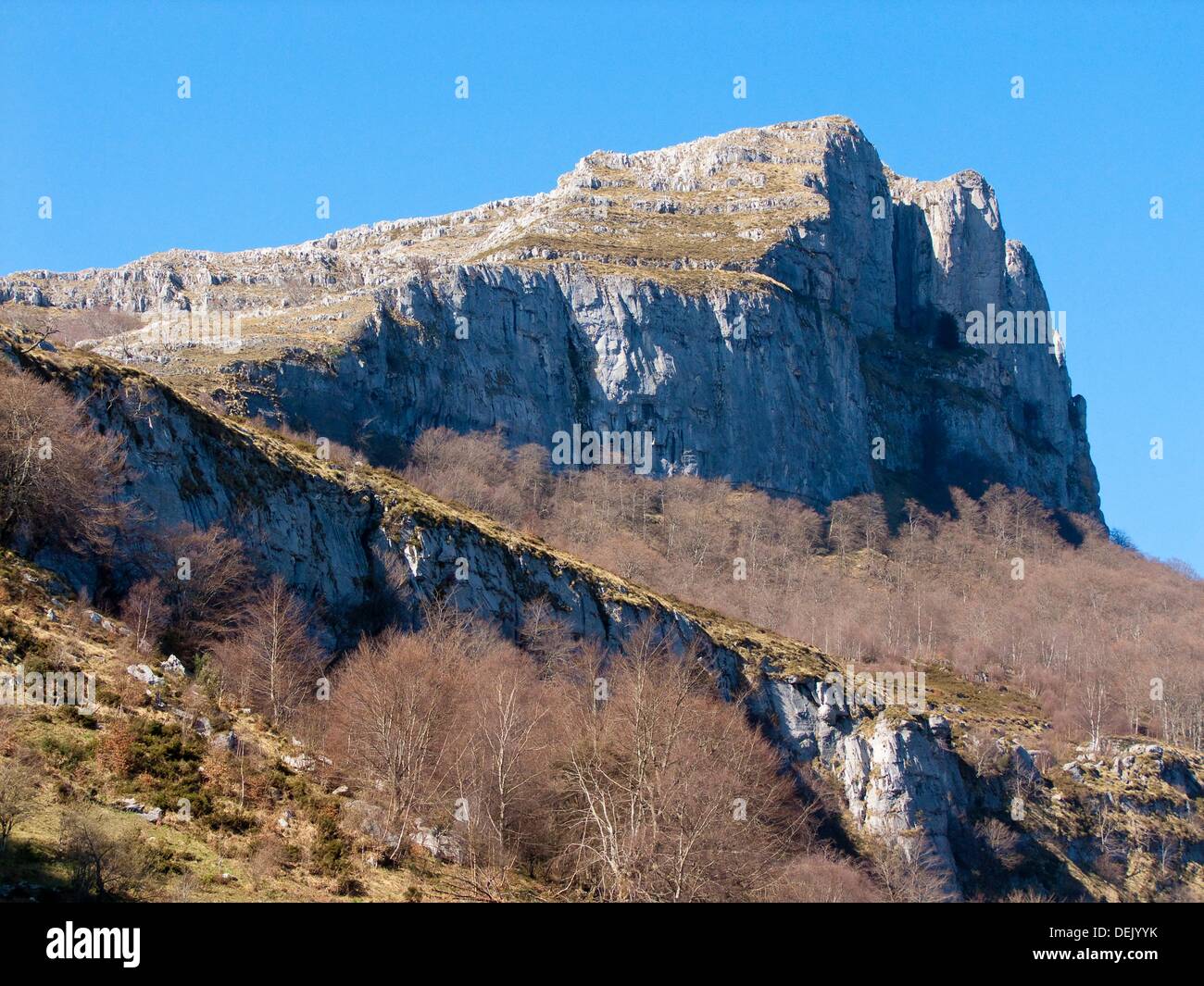 La Campanula, nel parco naturale di Asón collinette di Cantabria Spagna Europa Foto Stock