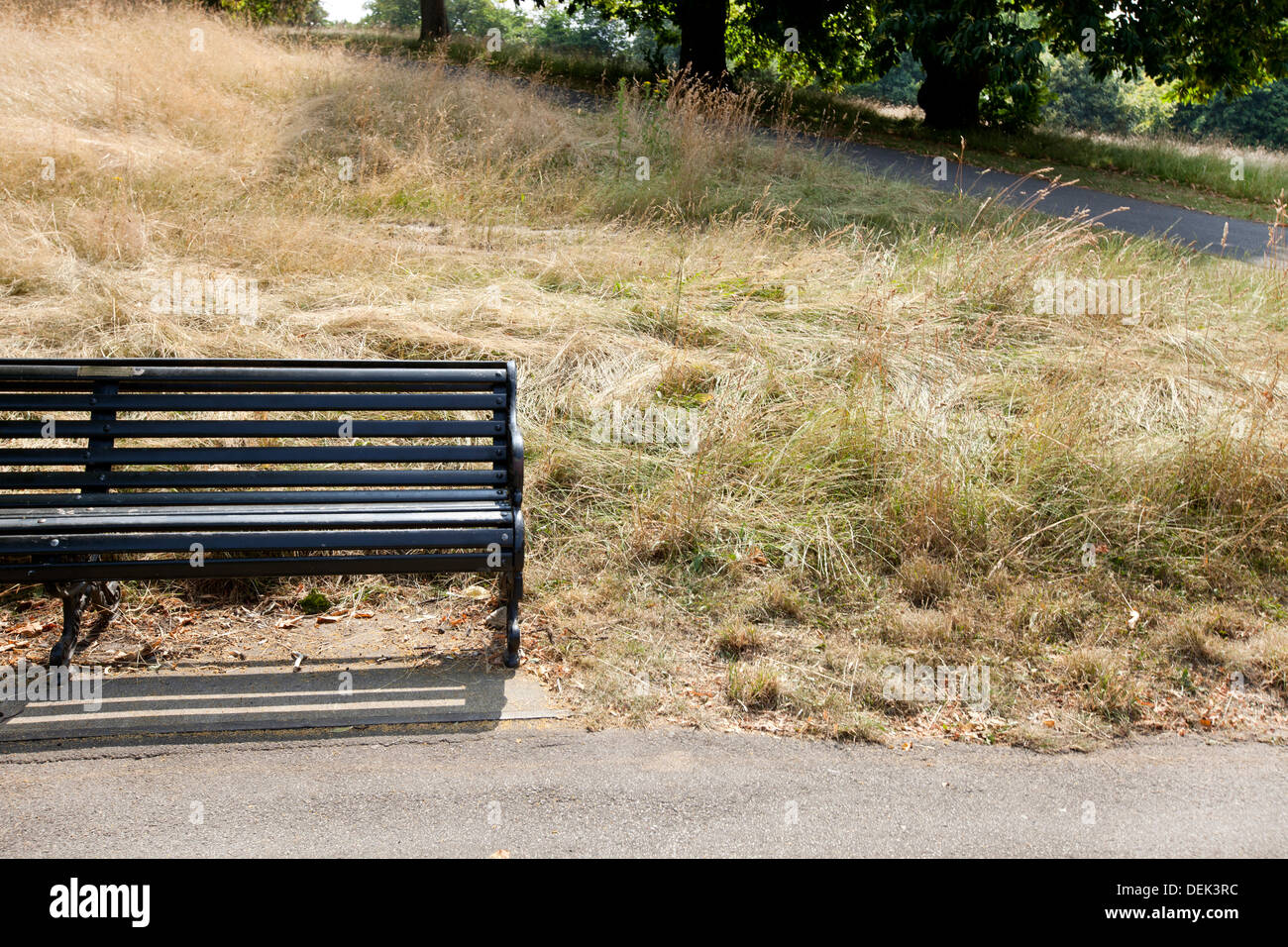 Svuotare una panchina nel parco park Foto Stock