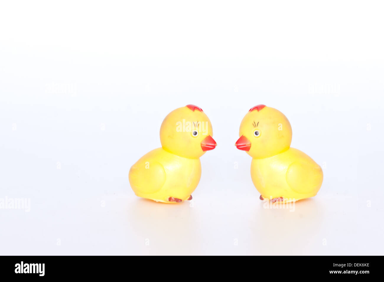 Poco anatra sul libro bianco Foto Stock