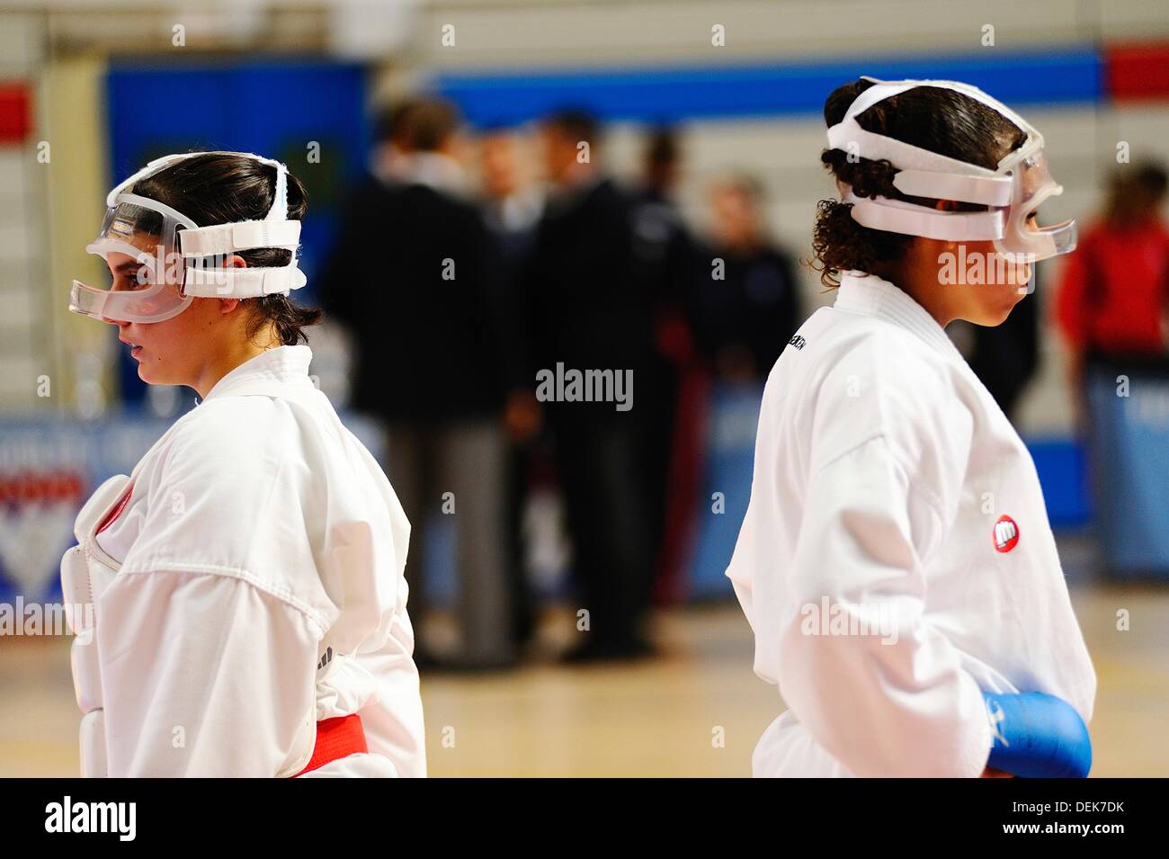 Arti Kata sesso