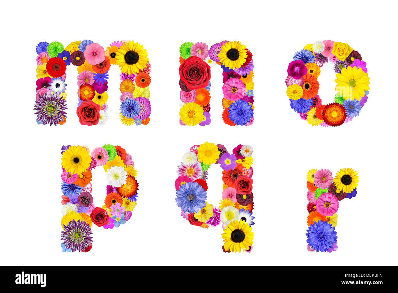 Alfabeto floreale isolato su bianco. Sei lettere M, N, O, P, Q, R fatta di  molte colorate e fiori originale Foto stock - Alamy