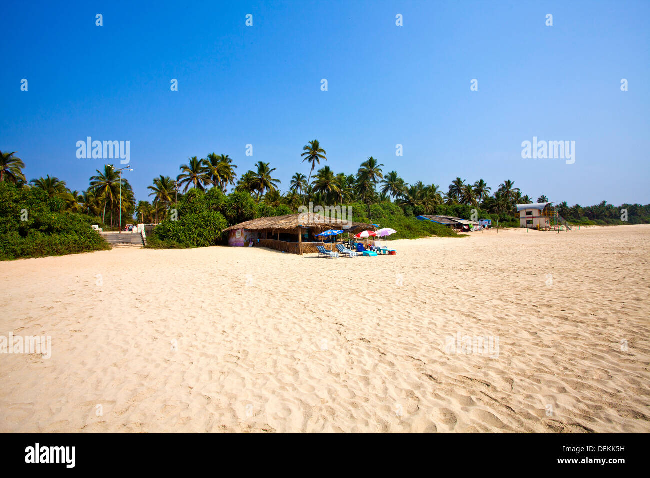 Le palme sulla spiaggia di Mobor Beach, Salcetta, Goa Sud, Goa, India Foto Stock