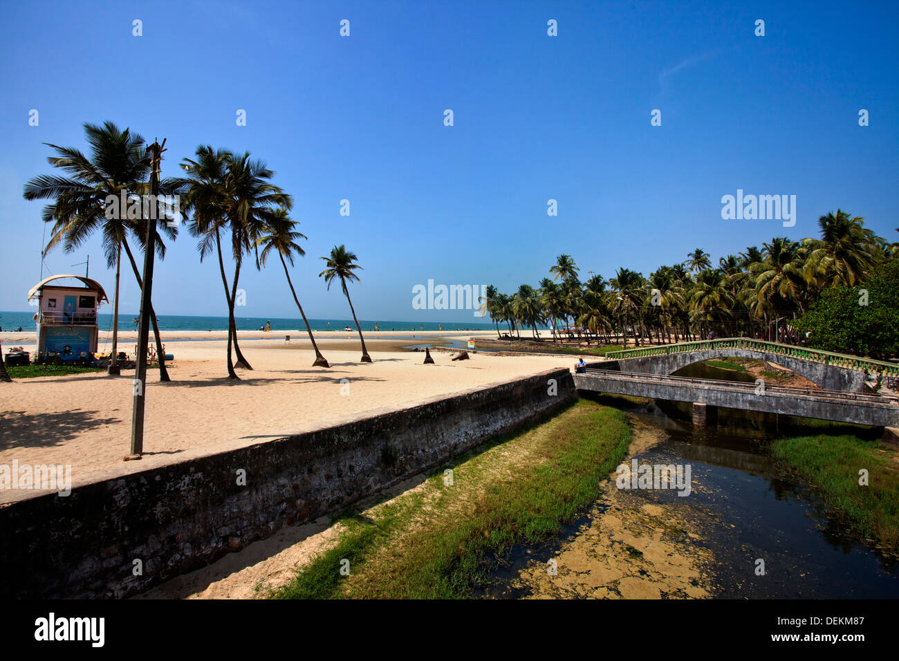 Le palme sulla spiaggia, Colva Beach, Colva, Goa Sud, Goa, India Foto Stock