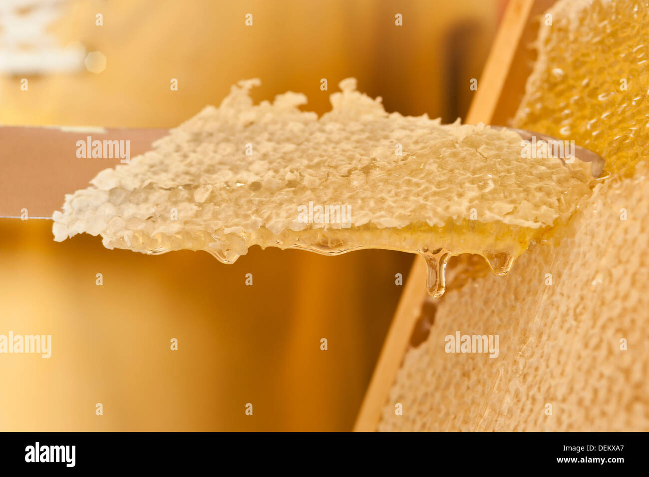 Close up di taglio dei coltelli favo di miele Foto Stock