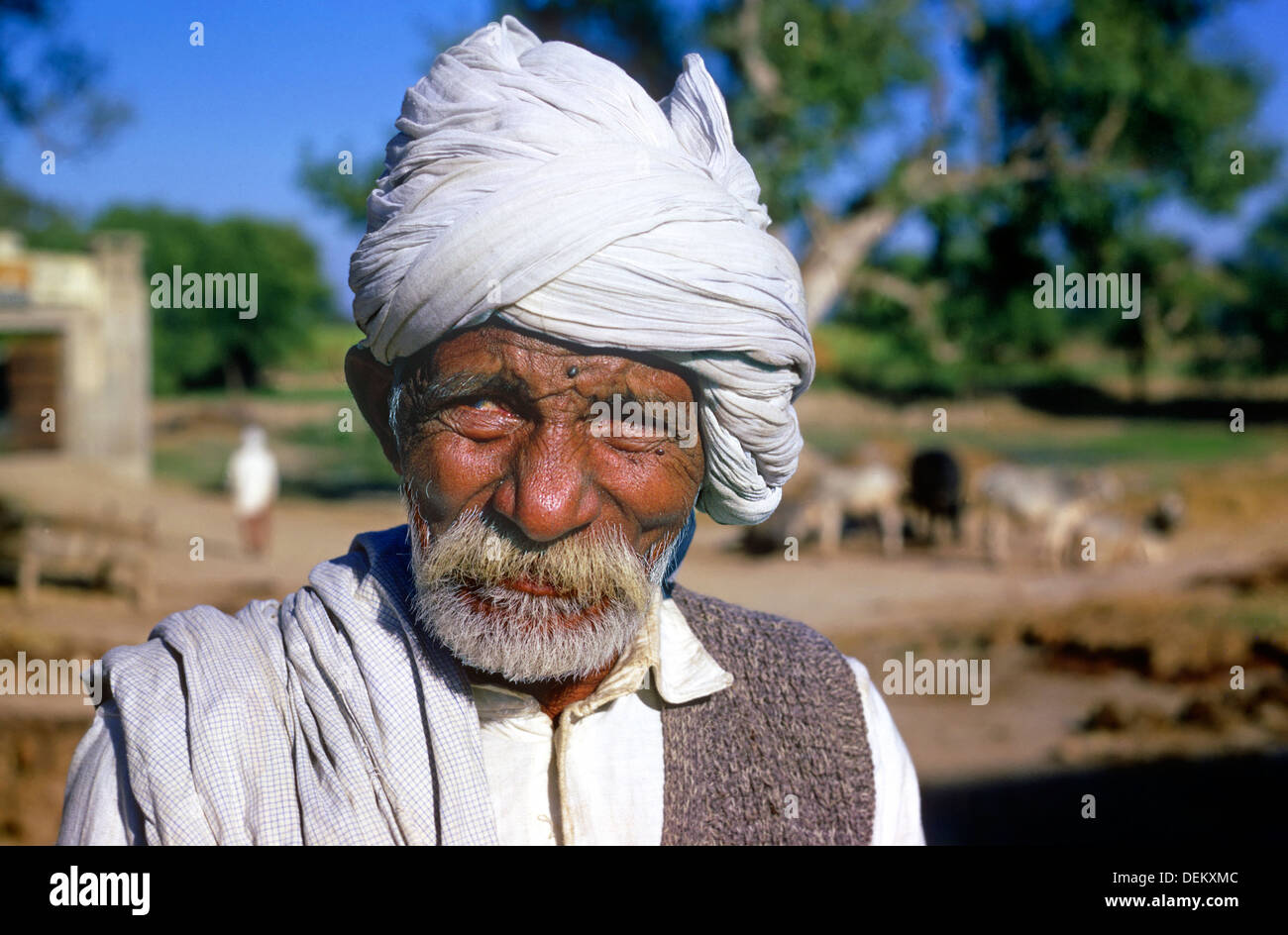 Ritratto Punjabi agricoltore Punjab India del Nord Foto Stock