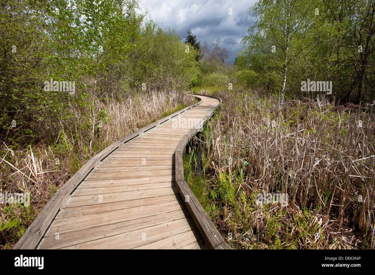 Passerella in legno nel paesaggio rurale Foto Stock