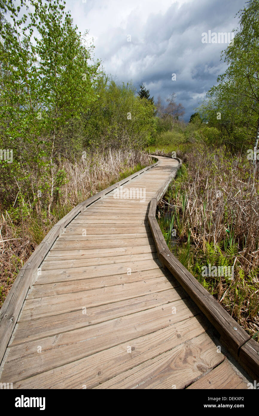 Passerella in legno nel paesaggio rurale Foto Stock