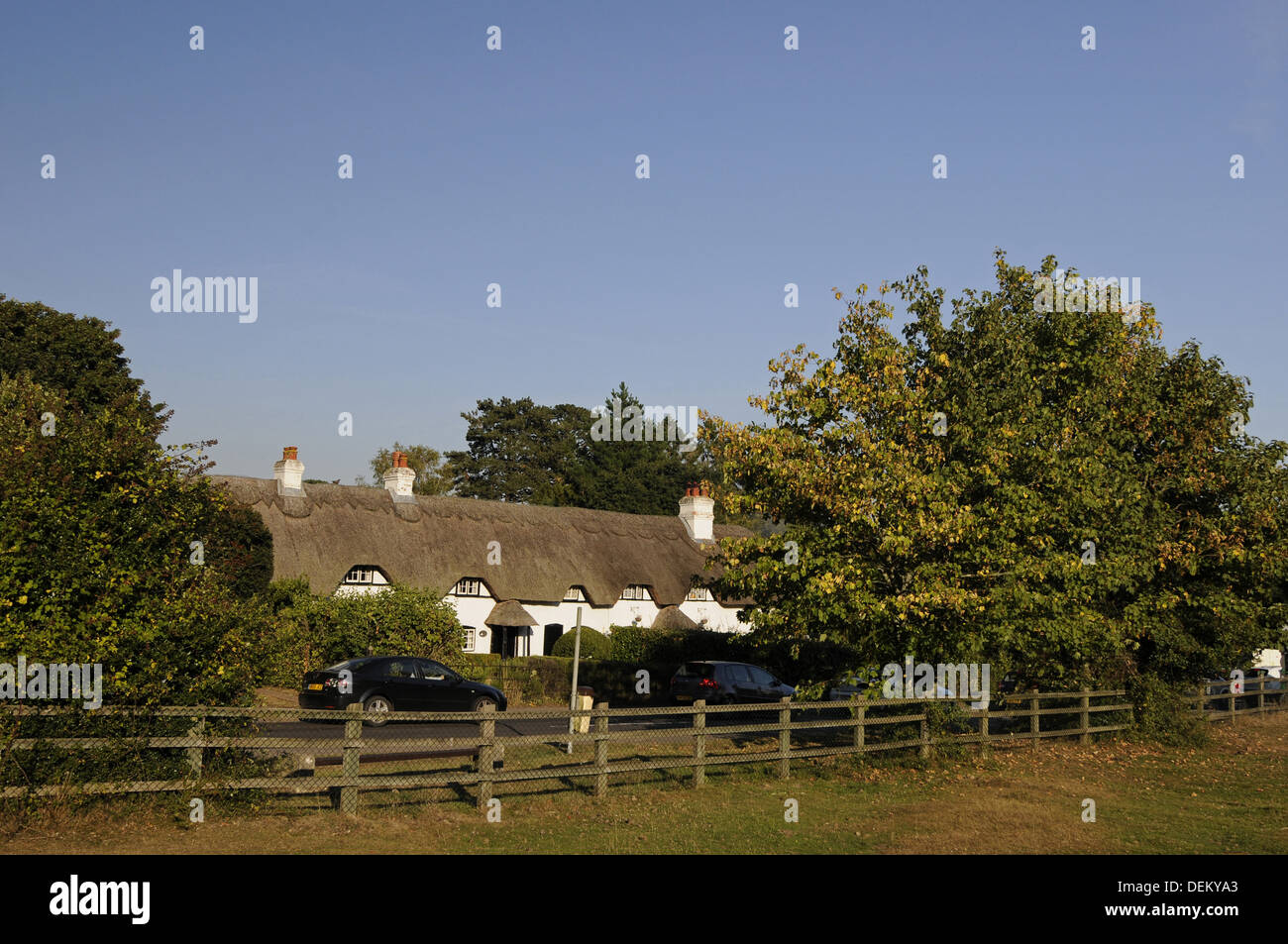 Cottage con il tetto di paglia sul verde del cigno vicino a Lyndhurst New Forest Hampshire Inghilterra Foto Stock