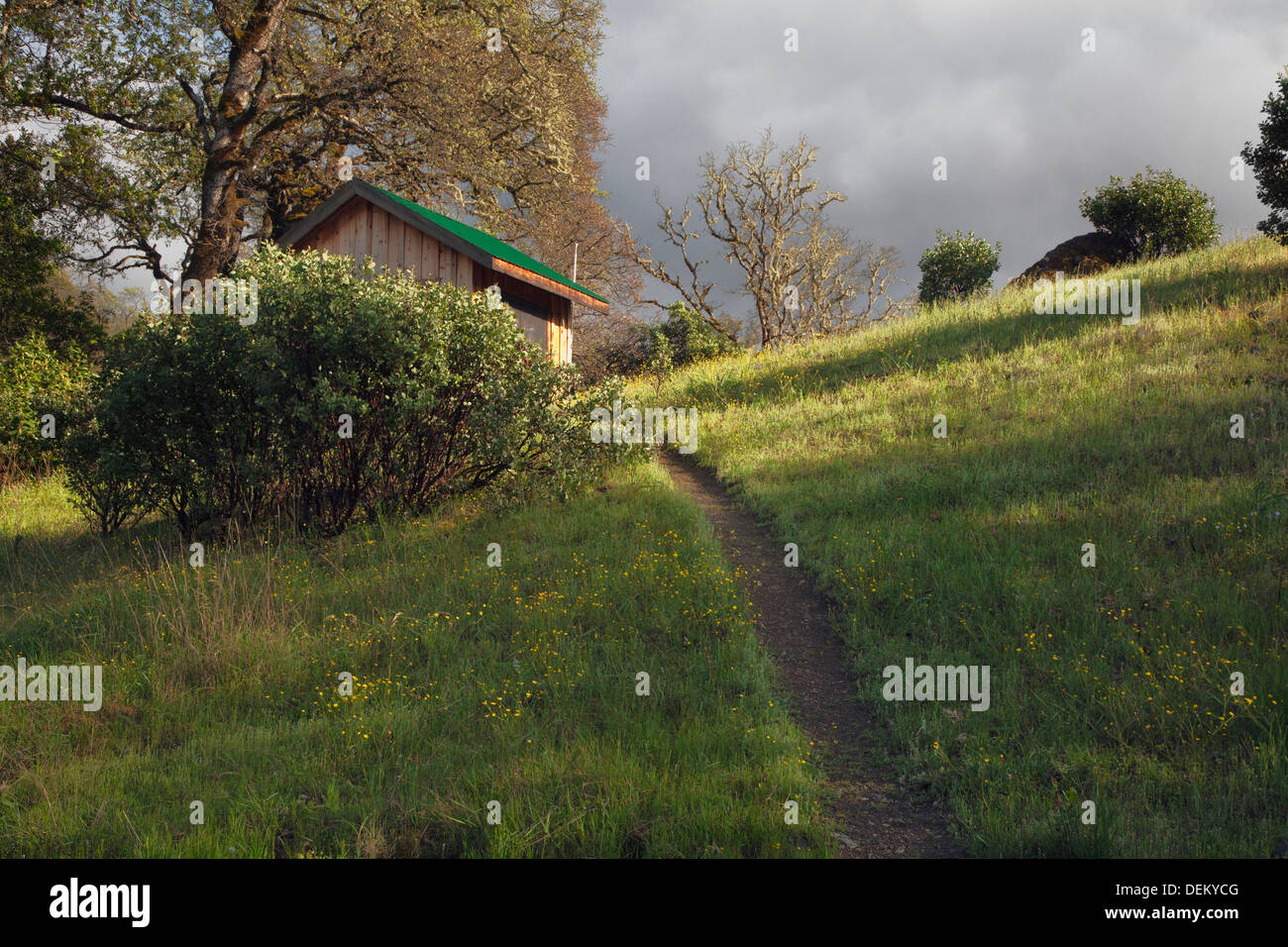 Percorso sulla collina rurale Foto Stock