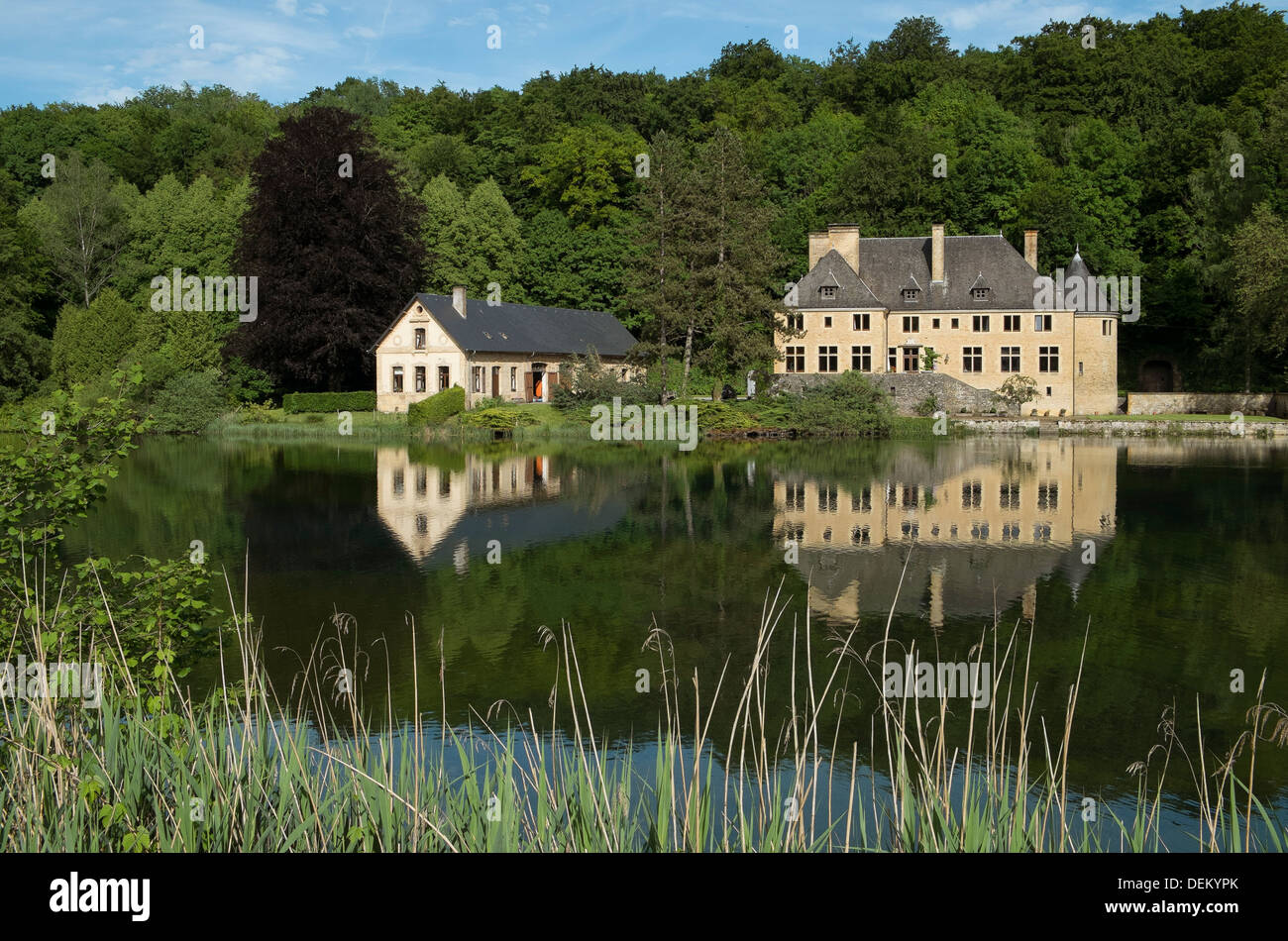 Chateau riflessione riflessa acqua paese sul lago Foto Stock