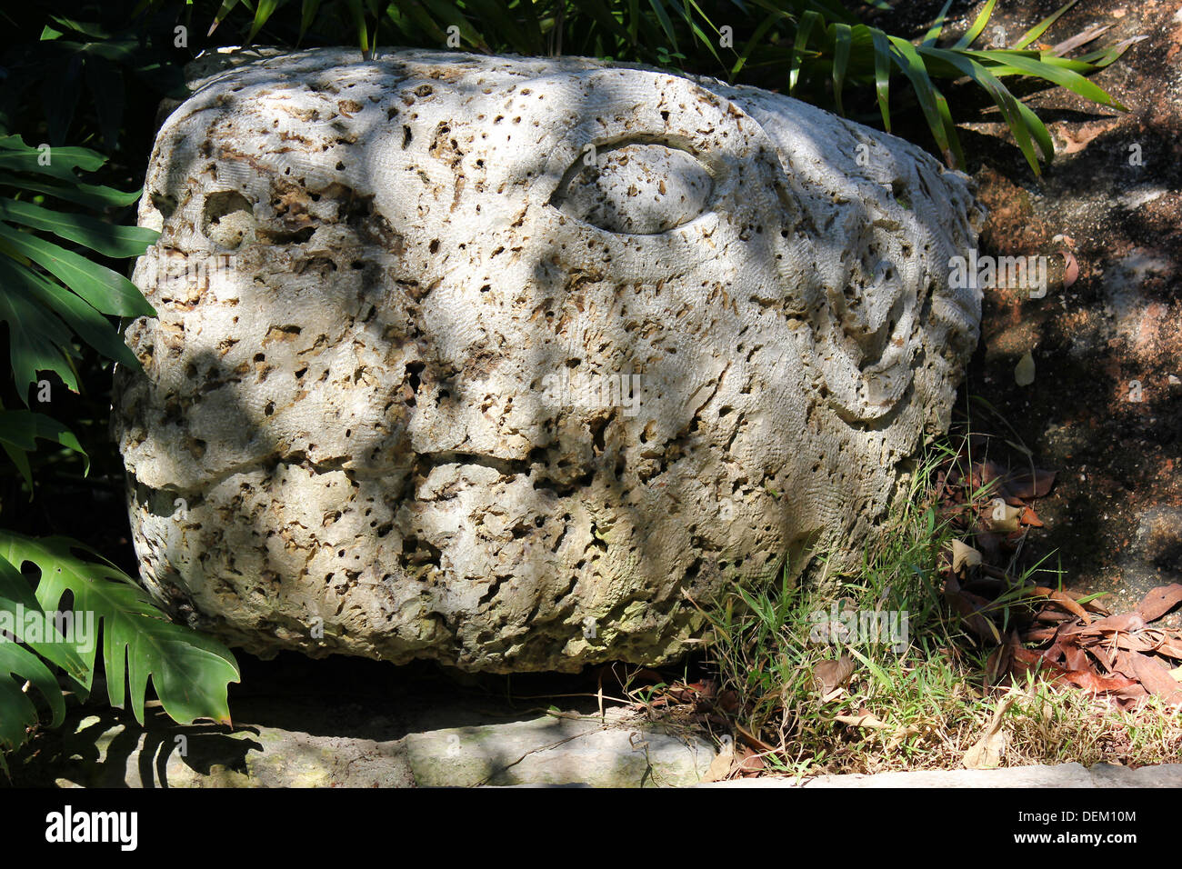 La scultura in pietra della tartaruga Foto Stock