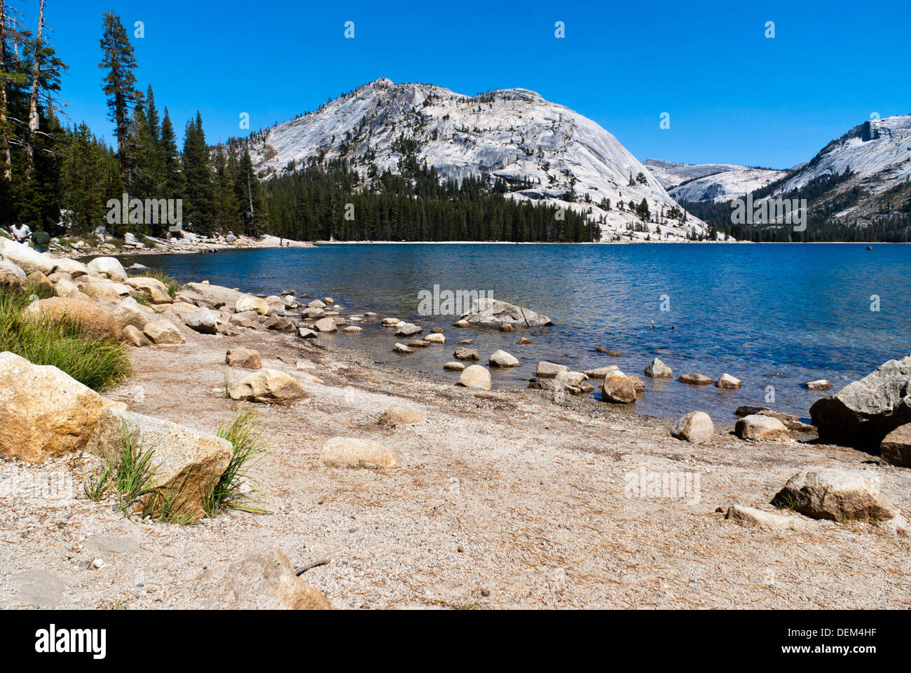 Lago Tenaya, Yosemite National Park, California, Stati Uniti d'America. Foto Stock