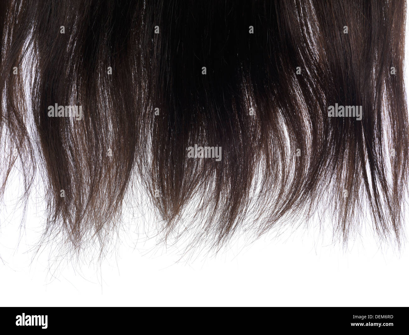Primo piano di color marrone scuro capelli isolati su sfondo bianco Foto Stock