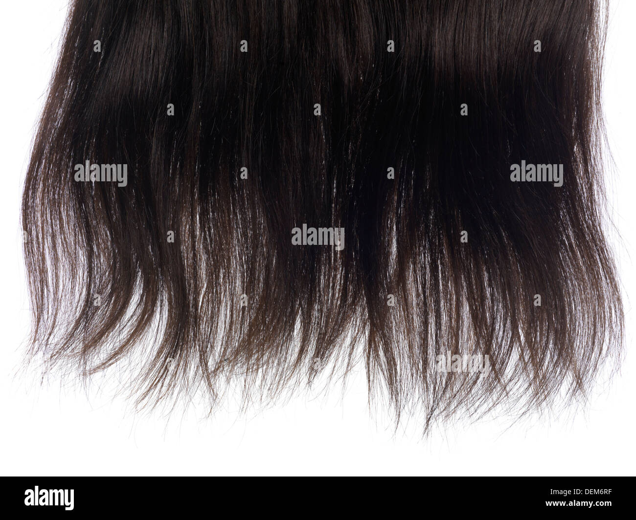 Serratura di marrone scuro estensioni di capelli con capelli veri texture isolato su sfondo bianco Foto Stock
