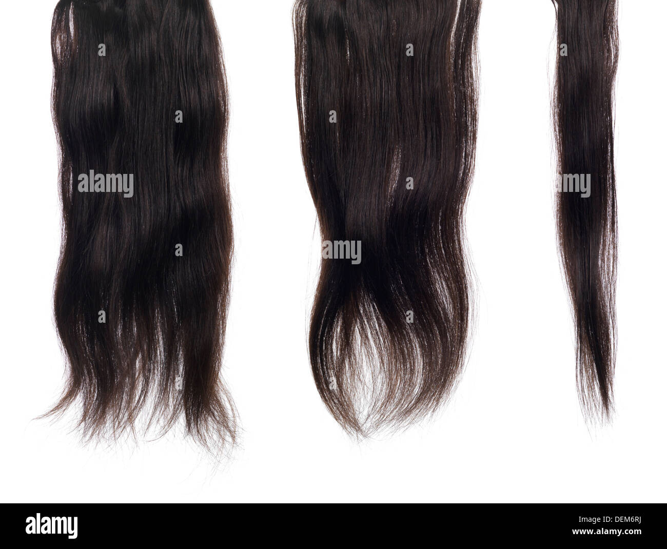 Trefoli, serrature di color marrone scuro le estensioni di capelli con capelli veri texture isolato su sfondo bianco Foto Stock