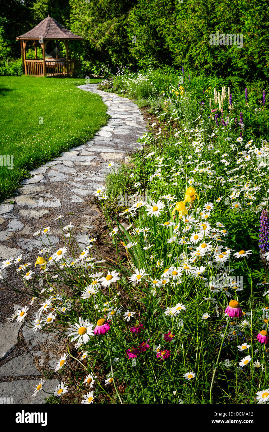 Giardino di fiori selvaggi con il sentiero lastricato che conduce al gazebo e fioritura margherite Foto Stock