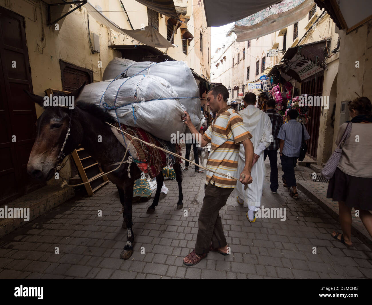 Uomo con donkey nelle strade della medina di Fez, Marocco Foto Stock