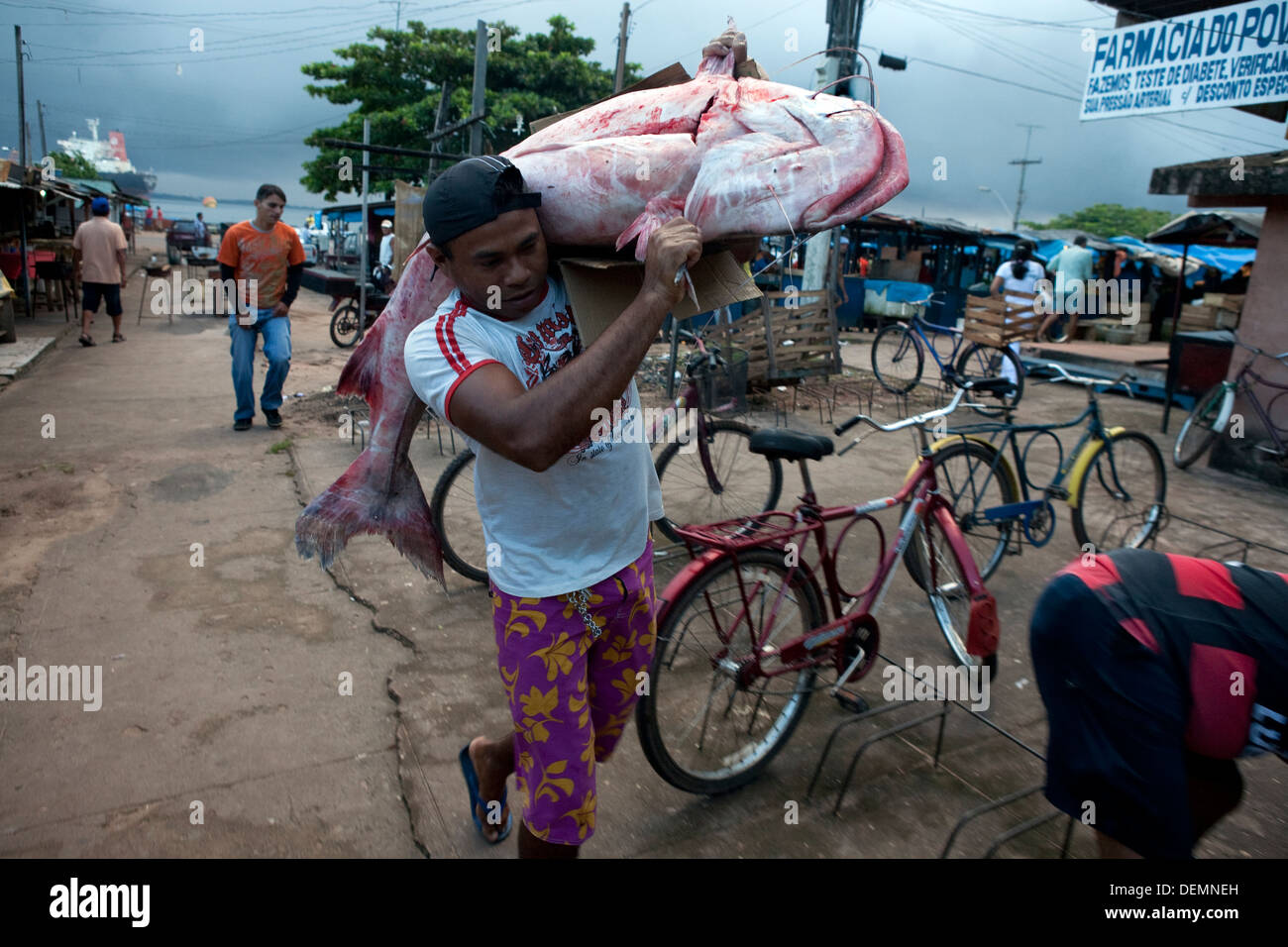 Un pescatore porta al mercato uno dei più grande pesce pescato nel fiume del Amazon. Foto Stock
