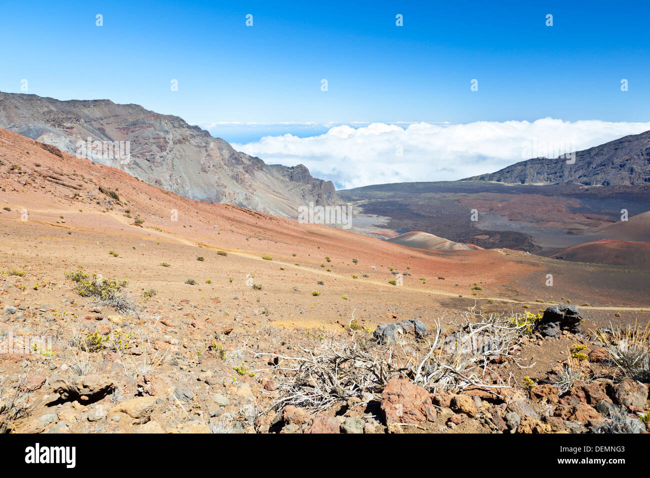 Vista dentro il grande cratere Haleakala in Maui, Hawaii. Foto Stock