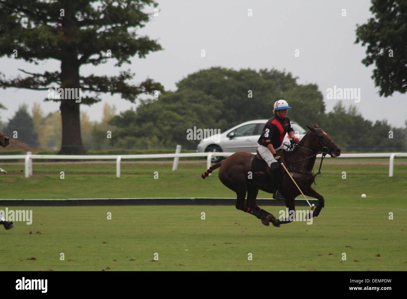 Berkshire, Regno Unito. Il 21 settembre 2013. Royal County of Berkshire Polo Club - Oman aria Trofeo Lambourne Credito: Ernst Klinker/Alamy Live News Foto Stock