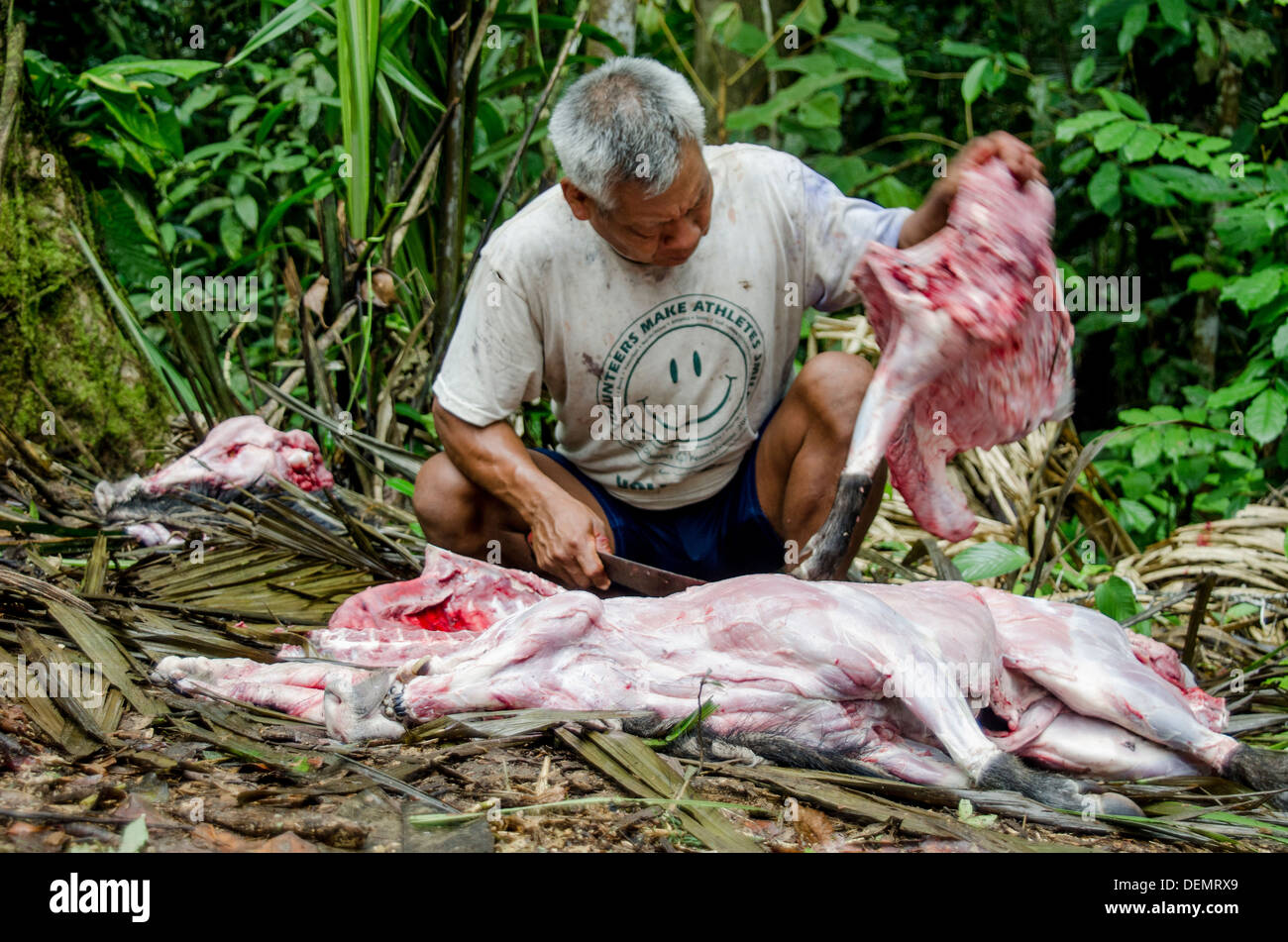 La carne di animali selvatici sostenibile caccia amazzonia Perù Foto Stock