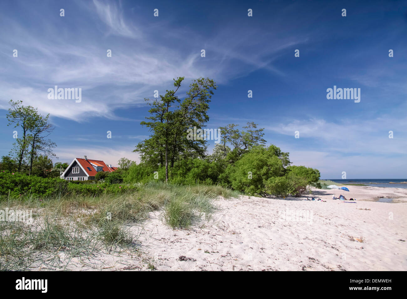 Spiaggia sabbiosa a Melsted su Bornholm, Danimarca Foto Stock