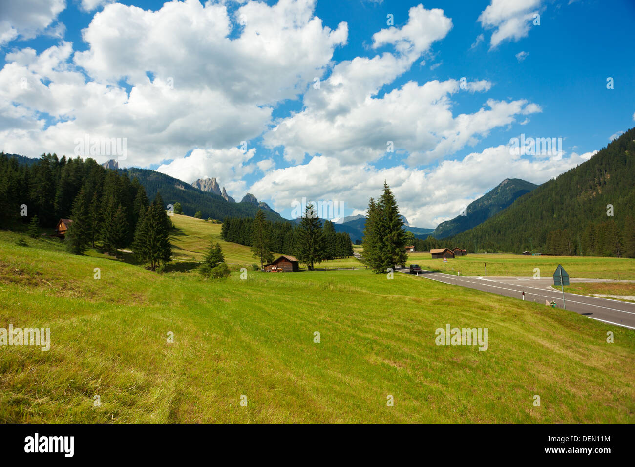 Tranquillo paesaggio alpino con abeti, piccole case e strada Foto Stock