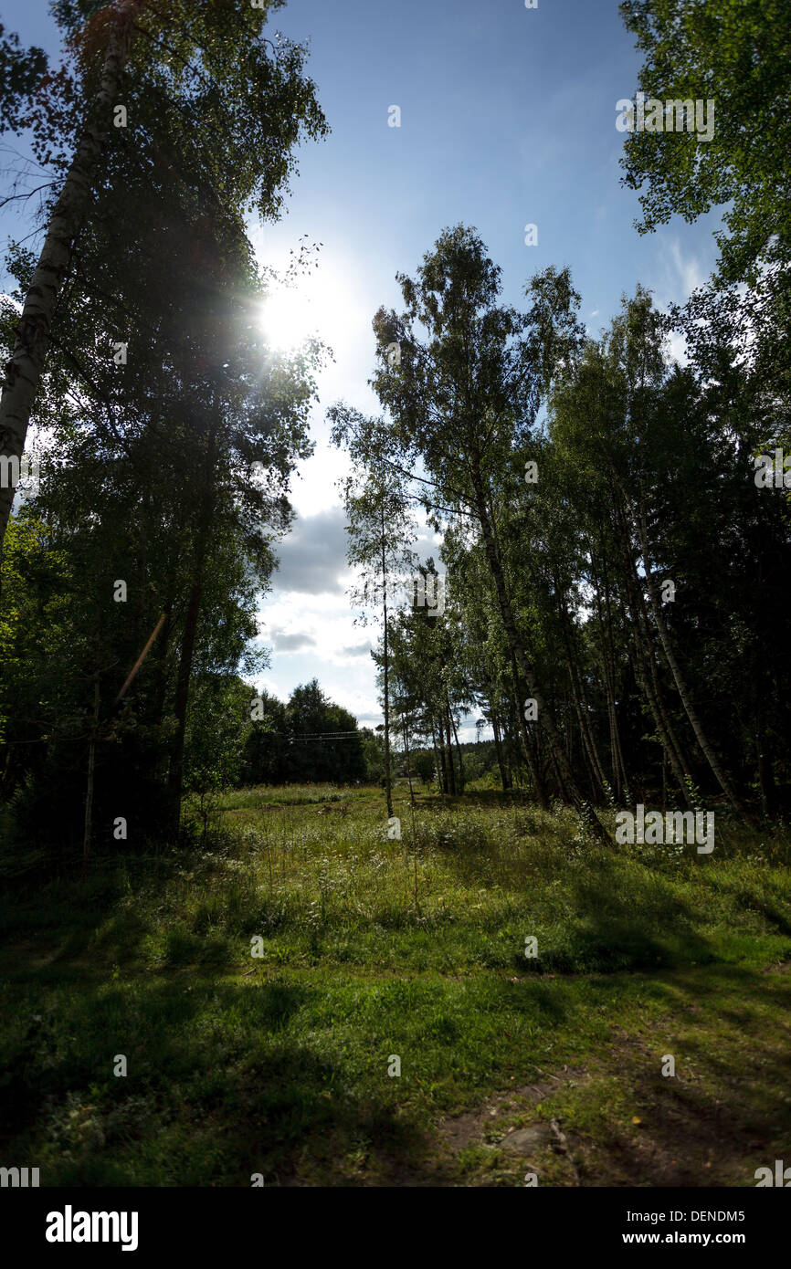 Schiarimento Foto Stock