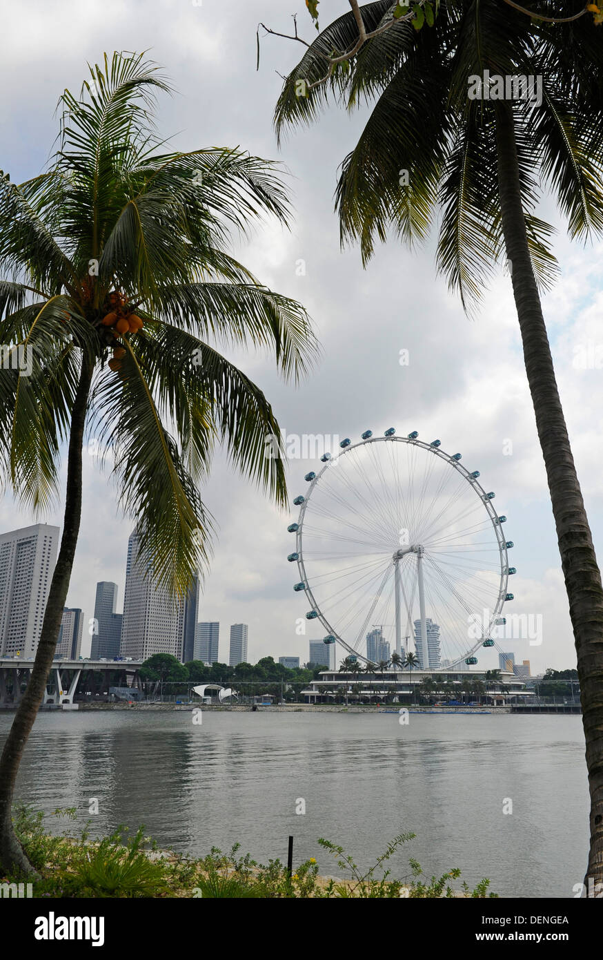 Il Singapore Flyer, il più alto ruota panoramica Ferris in tutto il mondo, presso i giardini della baia. Foto Stock