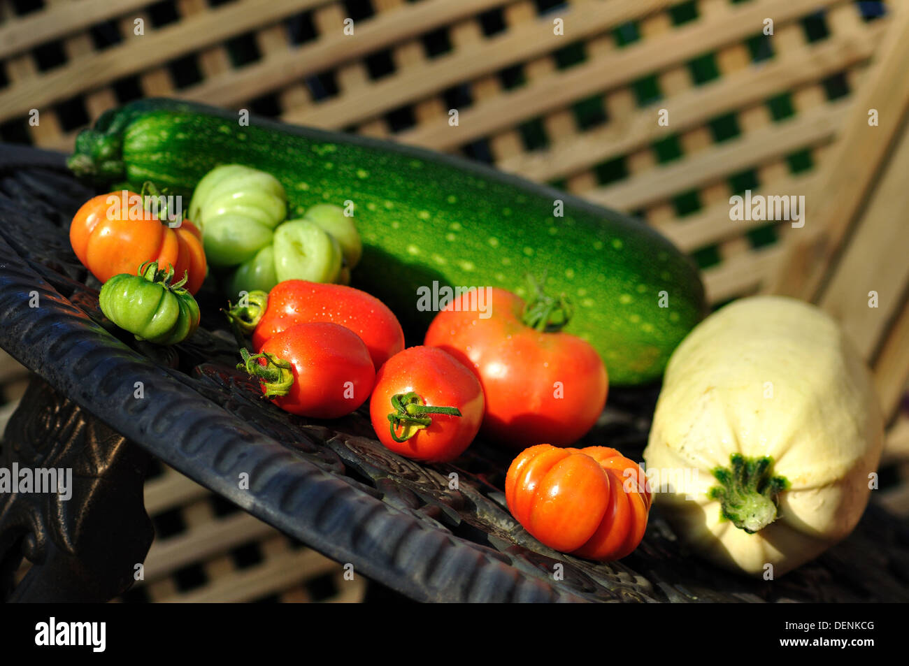 Orto di verdure Foto Stock