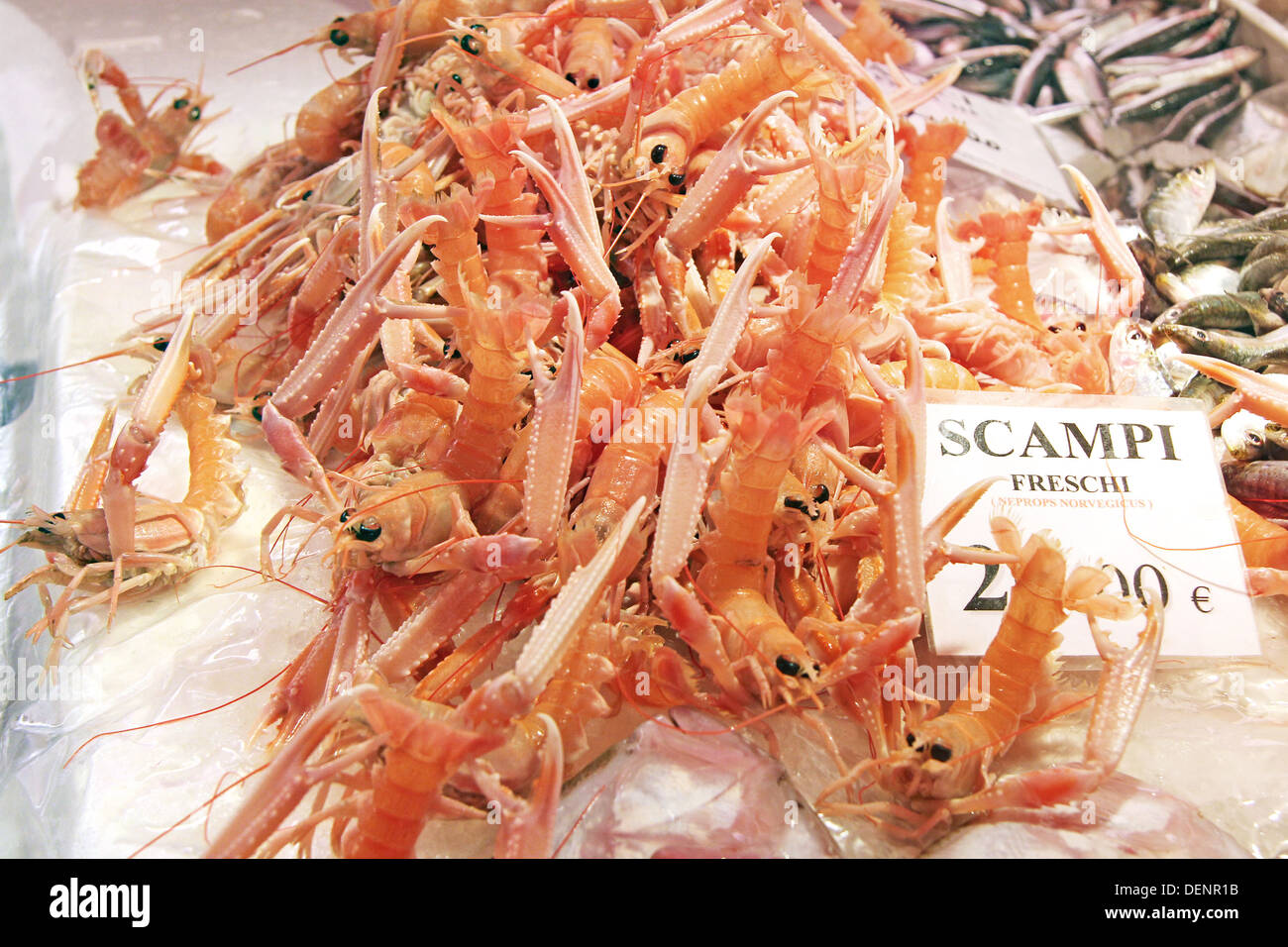 Un mazzetto di scampi freschi in un mercato del pesce Foto Stock