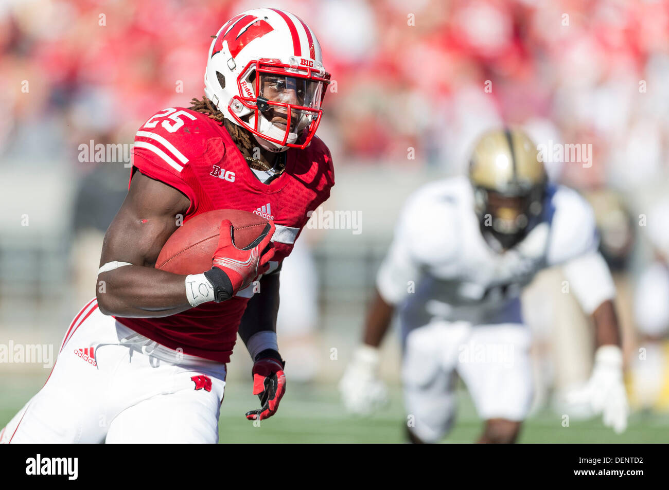 Madison, Wisconsin, Stati Uniti d'America. Xxi Sep, 2013. Settembre 21, 2013: Wisconsin Badgers running back Melvin Gordon #25 preleva 22 yards durante il NCAA Football gioco tra la Purdue Boilermakers e Wisconsin Badgers a Camp Randall Stadium di Madison, WI. Wisconsin sconfitto Purdue 41-10 nella grande dieci assolcatore per entrambe le squadre. John Fisher/CSM/Alamy Live News Foto Stock