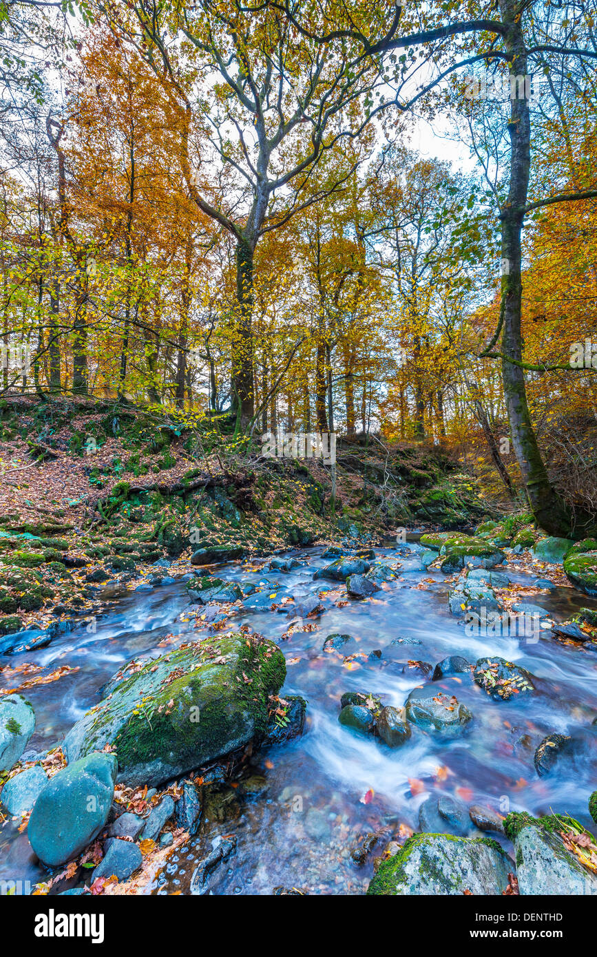 Magazzino beck,ambleside,Lake District; cumbria; Inghilterra; Regno Unito; Europa; Foto Stock