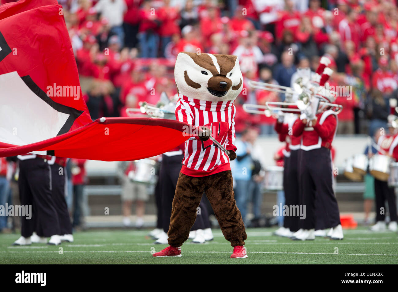 Madison, Wisconsin, Stati Uniti d'America. Xxi Sep, 2013. Settembre 21, 2013: Bucky Badger intrattiene la folla durante il NCAA Football gioco tra la Purdue Boilermakers e Wisconsin Badgers a Camp Randall Stadium di Madison, WI. Wisconsin sconfitto Purdue 41-10 nella grande dieci assolcatore per entrambe le squadre. John Fisher/CSM/Alamy Live News Foto Stock