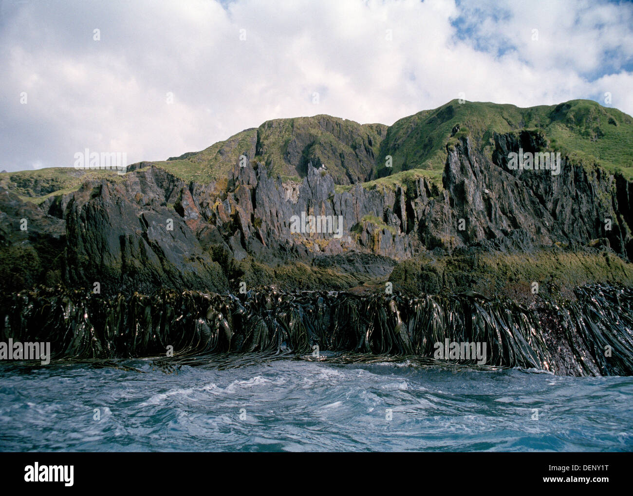 Ingresso roccioso, Georgia del Sud, sub antartiche, Isola del Sud Atlantico Foto Stock