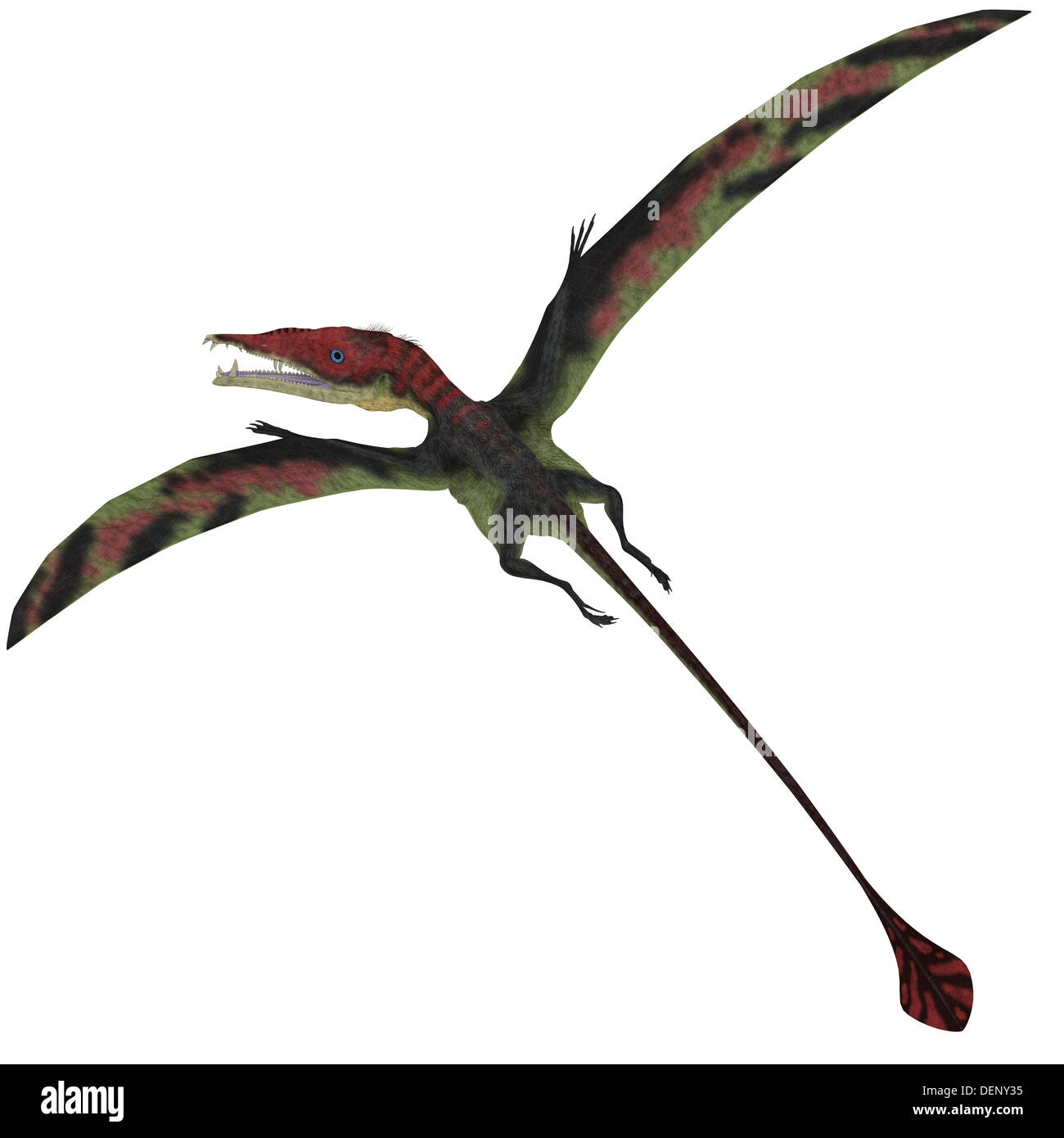 Eudimorphodon era un pterosuar dal tardo periodo triassico con un diamante a forma di coda. Foto Stock