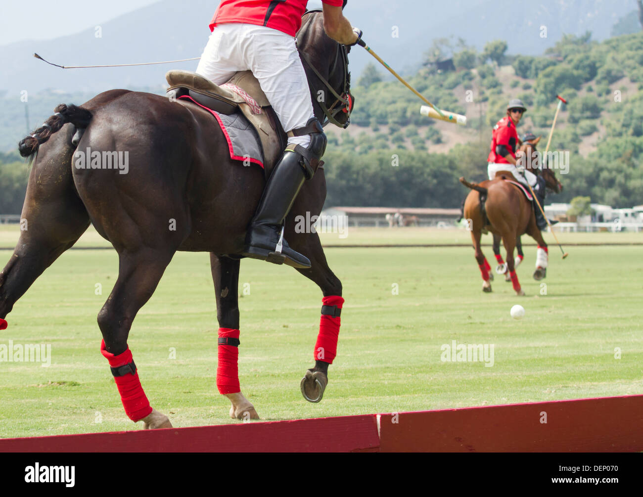 Giocatore di Polo colpisce la palla al suo compagno di squadra Foto Stock