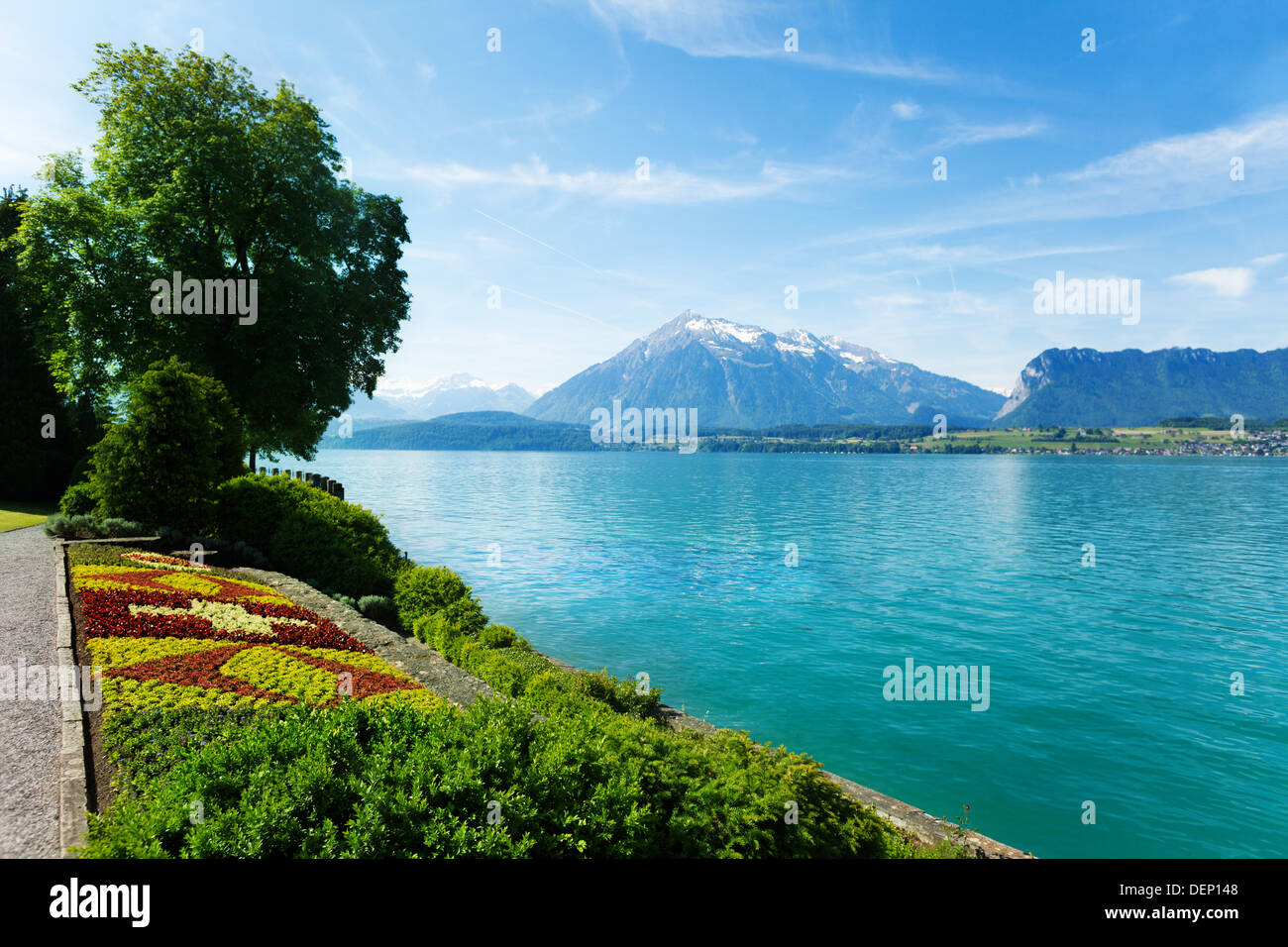 Giardino, Thun il lago e le montagne svizzere, Oberhofen svizzera Foto Stock
