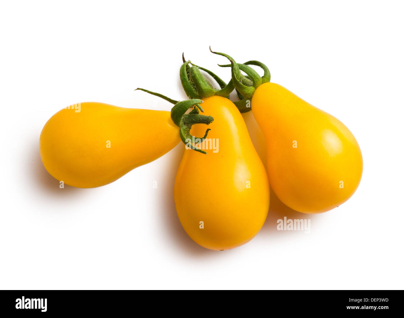 Giallo pomodori ciliegia su sfondo bianco Foto Stock