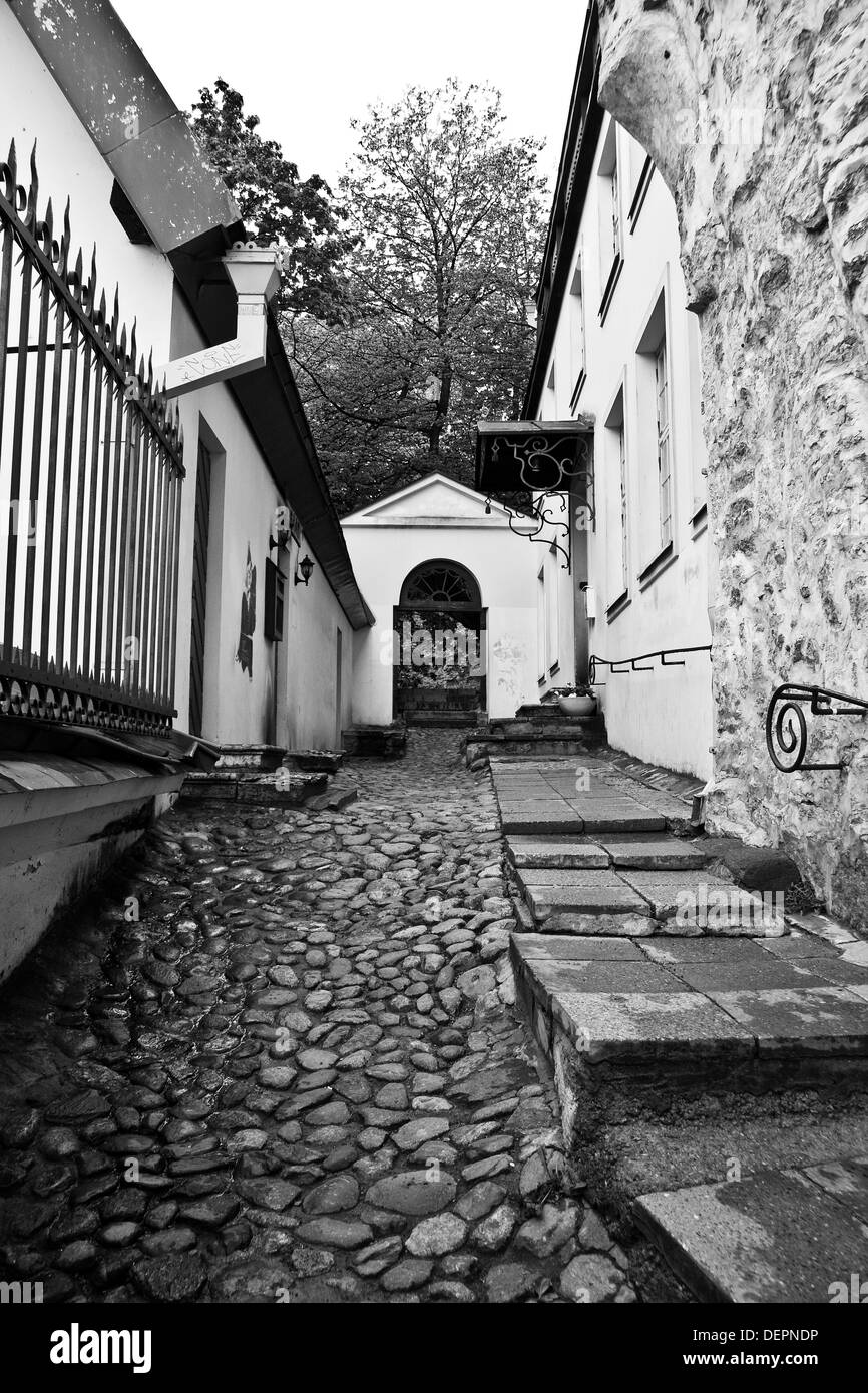 Ciottoli bagnata stone street a Tallinn in Estonia Foto Stock