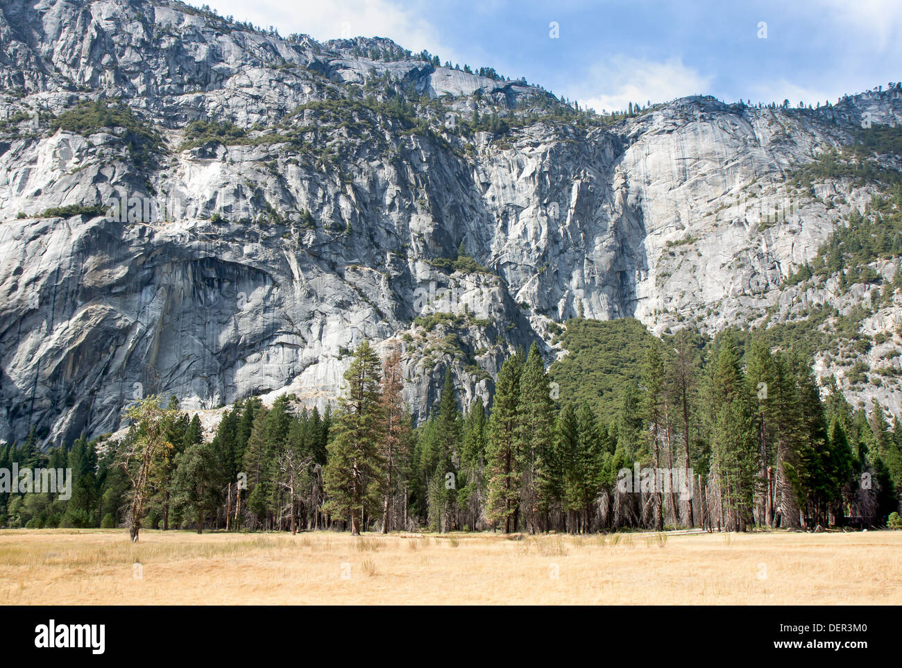 Questa immagine mostra il bel fondovalle piatto e il drammatico, ripida parete di granito presso il Parco Nazionale di Yosemite. Foto Stock