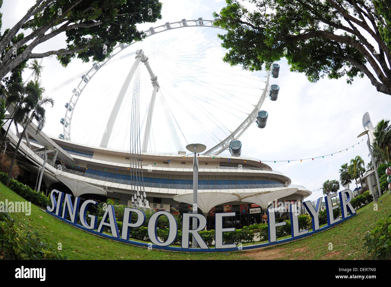 Il Singapore Flyer, il più alto ruota panoramica Ferris in tutto il mondo, presso i giardini della baia. Foto Stock